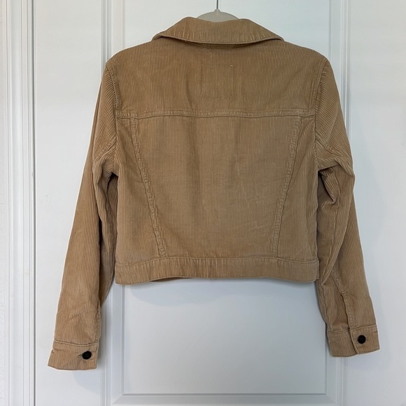 Hollister Corduroy Fall Lightweight Short Button Down Jacket Tan Size Medium - Picture 3 of 8